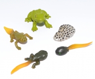 Froschset fünfteilig