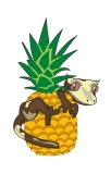 Pineapple Crush 60 g