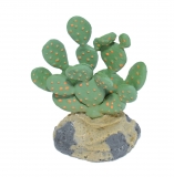 Fig Cactus with Rock Base