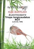 Zuchtansatz Triops longicaudatus RED