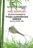 Zuchtansatz Triops australiensis GREEN