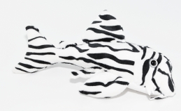 Kuschel Zebrawels L 173