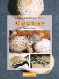 Vermehrung von Geckos